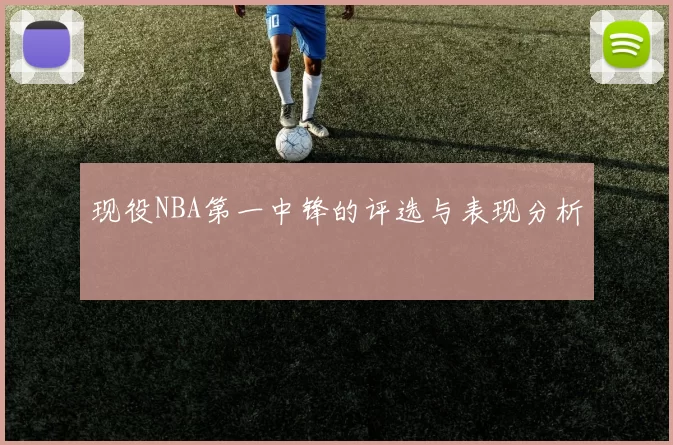 现役NBA第一中锋的评选与表现分析