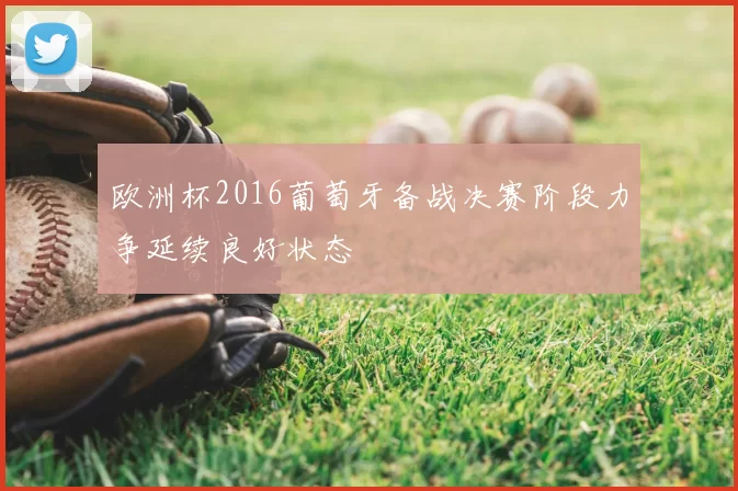 欧洲杯2016葡萄牙备战决赛阶段力争延续良好状态