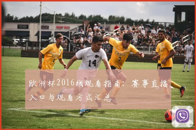 欧洲杯2016线观看指南:赛事直播入口与观看方式汇总