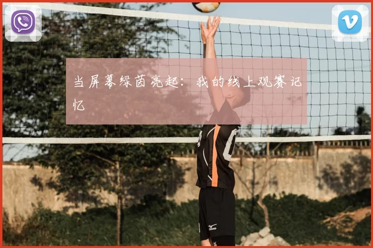 当屏幕绿茵亮起:我的线上观赛记忆