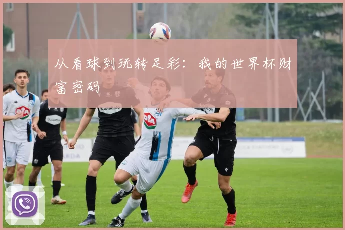 从看球到玩转足彩：我的世界杯财富密码