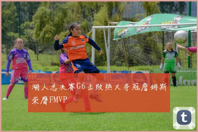湖人总决赛G6击败热火夺冠詹姆斯荣膺FMVP