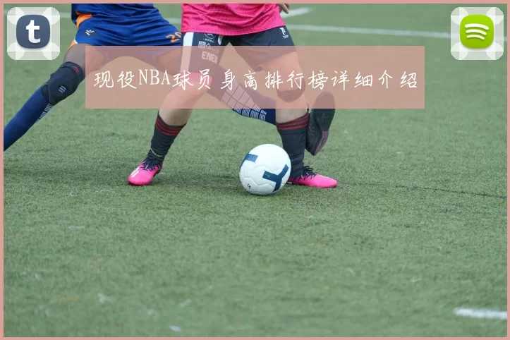 现役NBA球员身高排行榜详细介绍