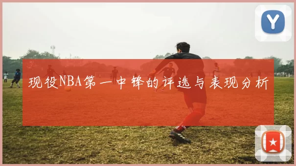 现役NBA第一中锋的评选与表现分析