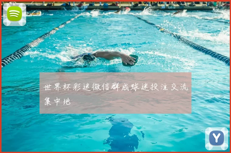 世界杯彩迷微信群成球迷投注交流集中地