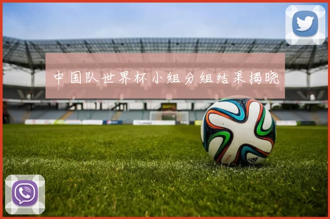 中国队世界杯小组分组结果揭晓