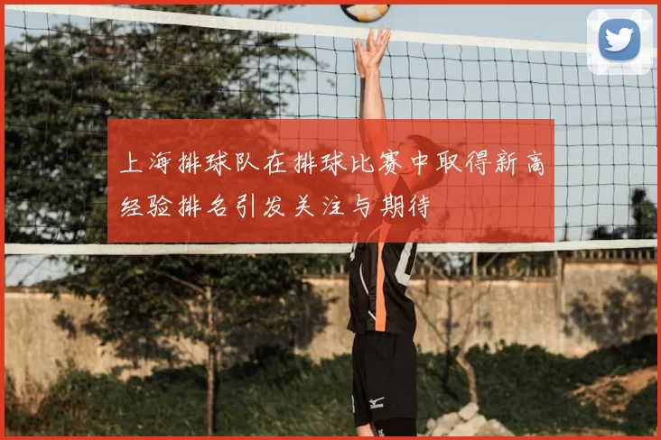 上海排球队在排球比赛中取得新高经验排名引发关注与期待