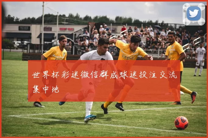 世界杯彩迷微信群成球迷投注交流集中地