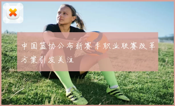 中国篮协公布新赛季职业联赛改革方案引发关注