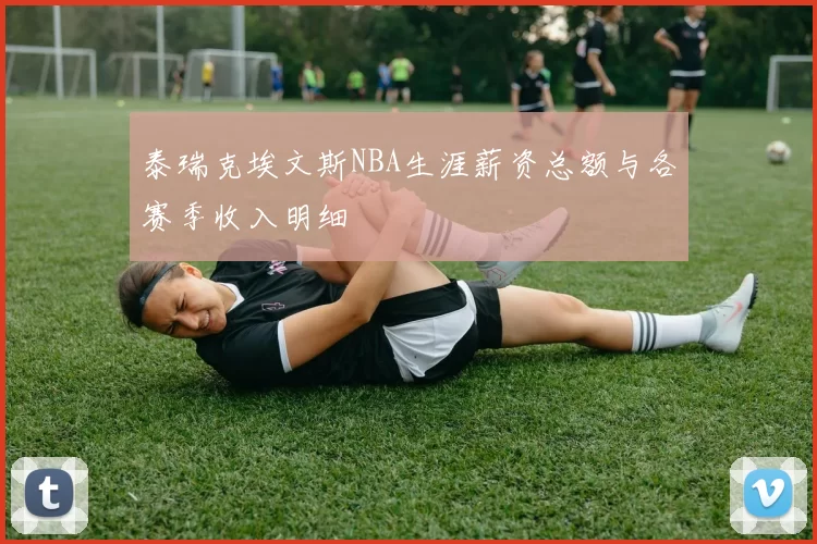 泰瑞克埃文斯NBA生涯薪资总额与各赛季收入明细