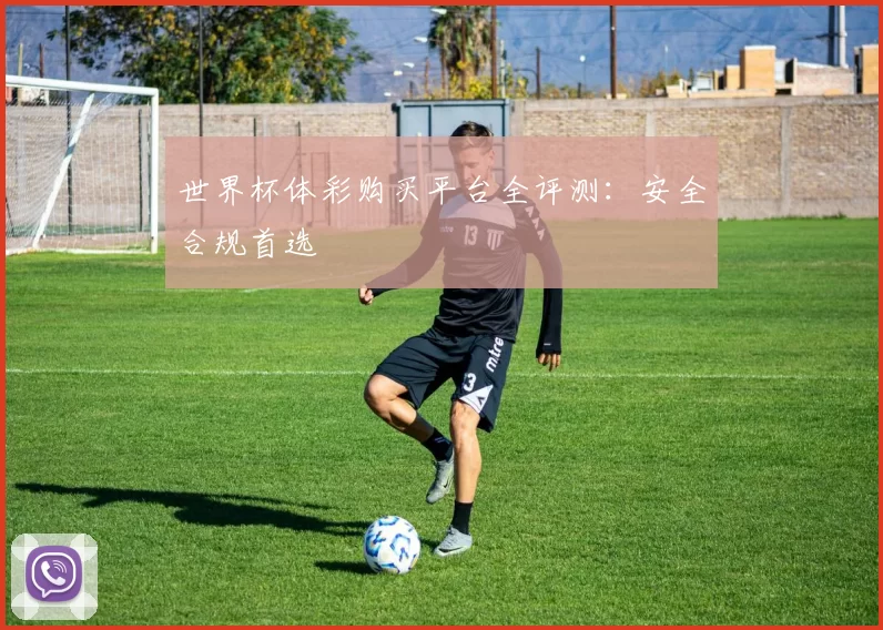 世界杯体彩购买平台全评测:安全合规首选